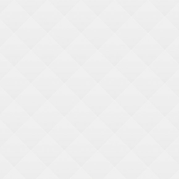 Installation “Strange Life” Installation “Strange Life”