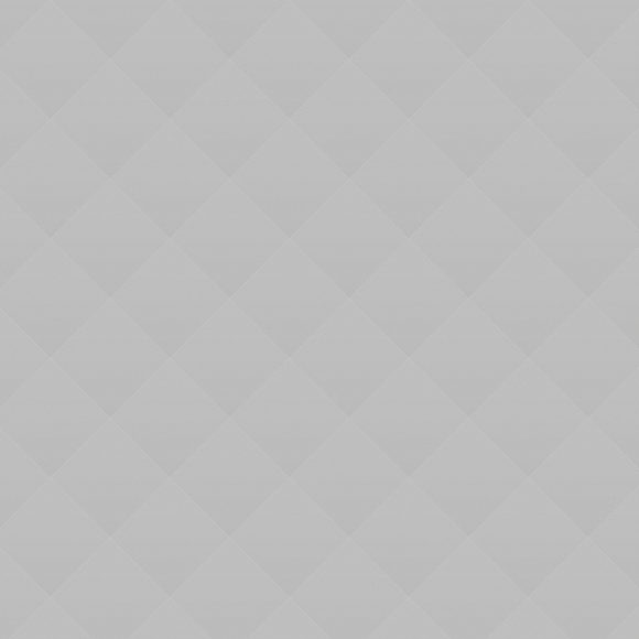 Exhibition of the Dutch Artist Exhibition of the Dutch Artist