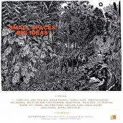 Small Spaces BIG IDEAS